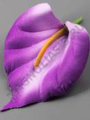 Калла с пестиком флок 1сл 10см (бел крас син лайм оран мал фиол сир)