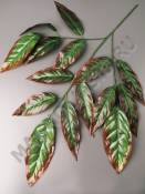 Ветка манго 3 ветки с коричневой кромкой 69см