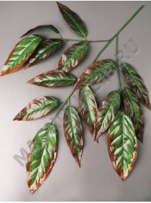 Ветка манго 3 ветки с коричневой кромкой 69см