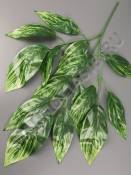 Ветка манго 3 ветки  Альпиния 70см