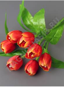  Букет тюльпанов 7гр 30см  (микс)