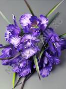 Букет ирисов 7гр 40см (бел мал сир фиол)