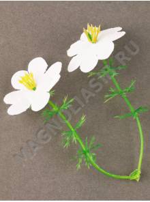 Москва***Добавка для композиций двойной цветочек белый 7см