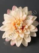 Георгин флористический  12см (бел свек крем мал-перс сир перс мол-свек)