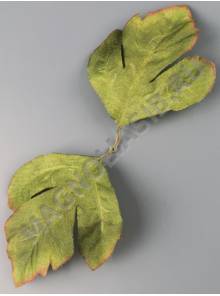 Лист хризантемы Осень флористической двойной хлопок  25см