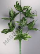 МоскваНога для букета с листьями хризантемы 7гр 50см