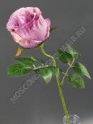 ***Ветка розы 52см (бел крас роз лайм  перс сир слив)