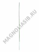 Стебель без листа 30 см