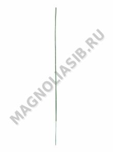 ***Стебель без листа 30 см