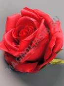 Роза флористическая с пенопластом  9 см (крас св-роз роз борд)