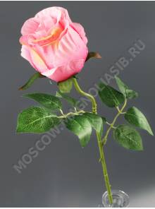 Букет хризантем игольчатых с кукурузой 15 групп 50 см*