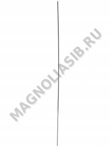 Стебель без листа 47см 