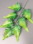 Лист папоротника Персидского 7гр 34/50см (листик 13см)