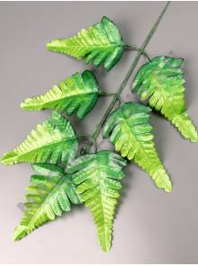Лист папоротника Персидского 7гр 34/50см (листик 13см)