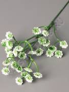 Ветка цветущего укропа 3 соцветия 29см (бел)