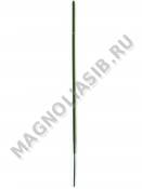 Стебель без листа 20см 