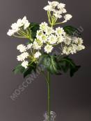 МоскваВетка борщевика 60 см (белый)