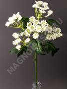 МоскваВетка борщевика 60 см (белый)