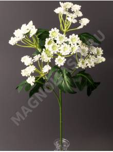 МоскваВетка борщевика 60 см (белый)