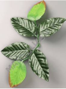 ***Лист розы шёлк 6 листьев 25см (с большим отверстием на гвоздь)