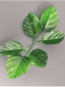Лист розы рифленый шёлк 6 листьев 19см