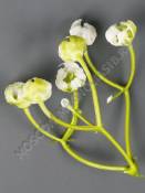 Добавка пластм соцветие гипсофилы 5.5см