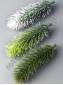 Лапка  елки 11см (зел зел-салат зел-бел)