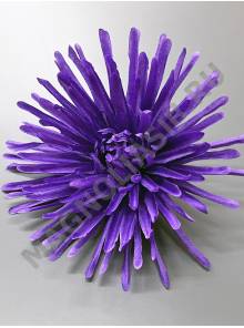 Хризантема игольчатая хлопок 17см (бел крас роз борд фиол желт)