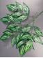 Ветка манго 5 веток Спатифиллум 72см