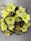 Букет амариллисов  9гр по 2 цвет 48см (бел роз лайм борд сир пыльн-роз)