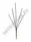 Москва. Нога для букета без листа 5гр 31см
