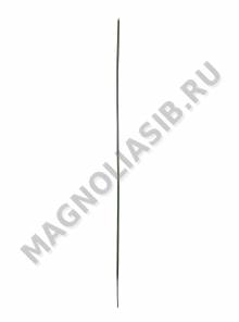 Стебель без листа 38см