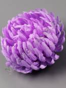 Хризантема Ностальжи неткан. 11сл 11см (бел крас борд роз сир лайм перс)