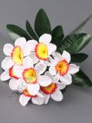 Букет нарциссов на подкустнике 7гр 25см (б-жел, б-оран ж-оран)