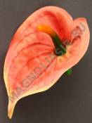 Антуриум мини плотный атлас 9см без пестика (бел крас роз сир жёл пер св-роз) (пестик см 2206)