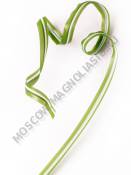 Хлорофитум с белой полоской 1 см