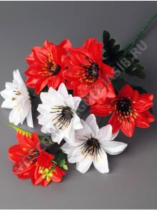 Букет георгинов 7гр 45см (микс)