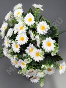Москва. Букет ромашки с добавками 18 гр 36 цветочков  42см (белая)