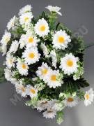Москва. Букет ромашки с добавками 18 гр 36 цветочков  42см (белая)