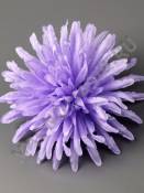 ***Хризантема атлас 7сл 14см (бел сир перс фио борд лайм)