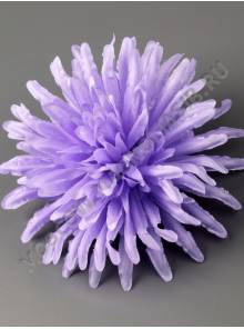 ***Хризантема атлас 7сл 14см (бел сир перс фио борд лайм)