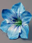 Гиппеаструм 1сл 16см без тычинки (бел син лайм мал-жел роз сир) (тыч. см. 2200, 2205, 2211)