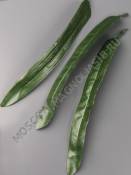 Лист нарцисса, тюльпана шелк 21см 