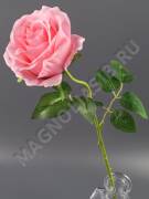 Ветка розы 52см (бел крас борд перс сир роз)