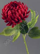 Ветка хризантемы Ностальжи 49см (бел крас борд роз сир лайм перс)