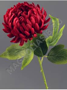 Ветка хризантемы Ностальжи 49см (бел крас борд роз сир лайм перс)