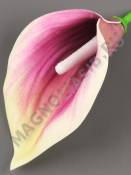 Калла латексная Экзотик средняя без пестика 13см. (бел син свек роз лайм) (пестик см. 2202, 2270)