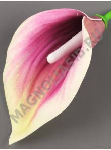 Калла латексная Экзотик средняя без пестика 13см. (бел син свек роз лайм) (пестик см. 2202, 2270)