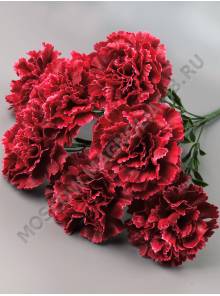 Букет гвоздик натуральных 7гр 43 см (бел крас борд кр-оранж роз фиол желт)