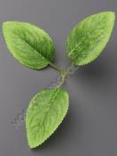 Лист тройной светло-зеленый с прожилками 18 см. 